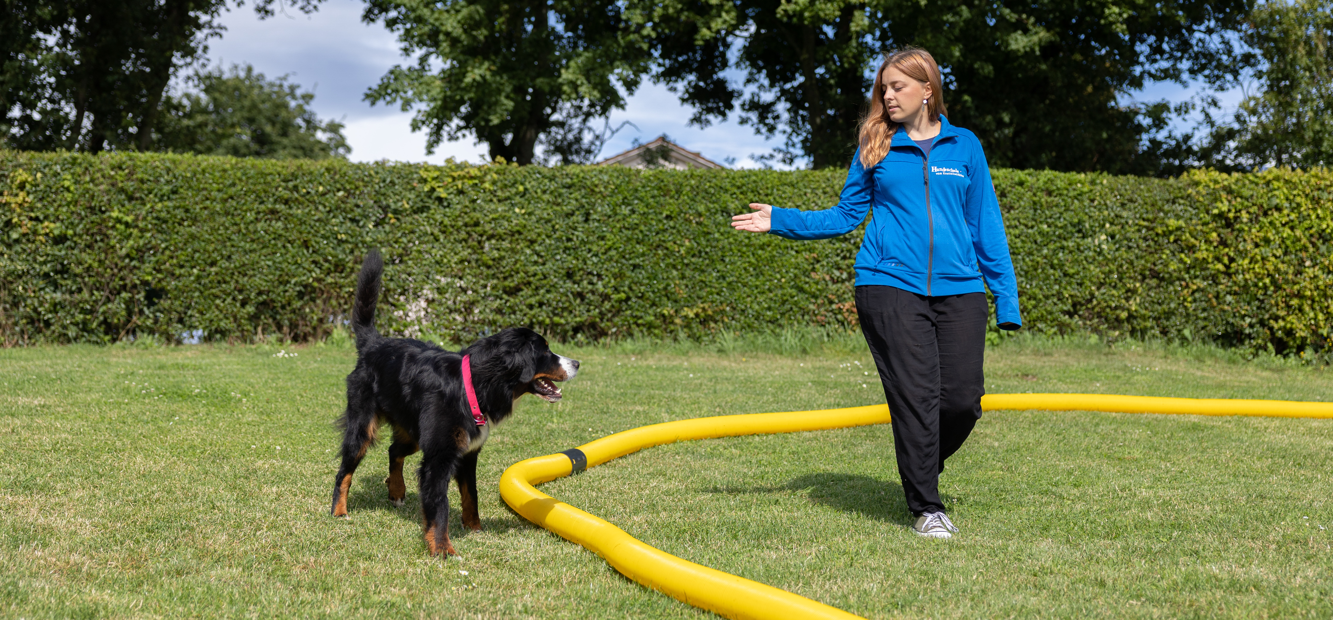 Hund und Mensch beim Training am Longierkreis